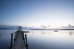 20120809-Morgen ved Roskilde fjord-026