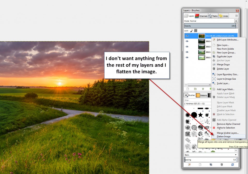 Step 15 - Gimp - Flatten image
