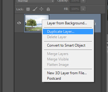 Step 1 - Duplicate layer